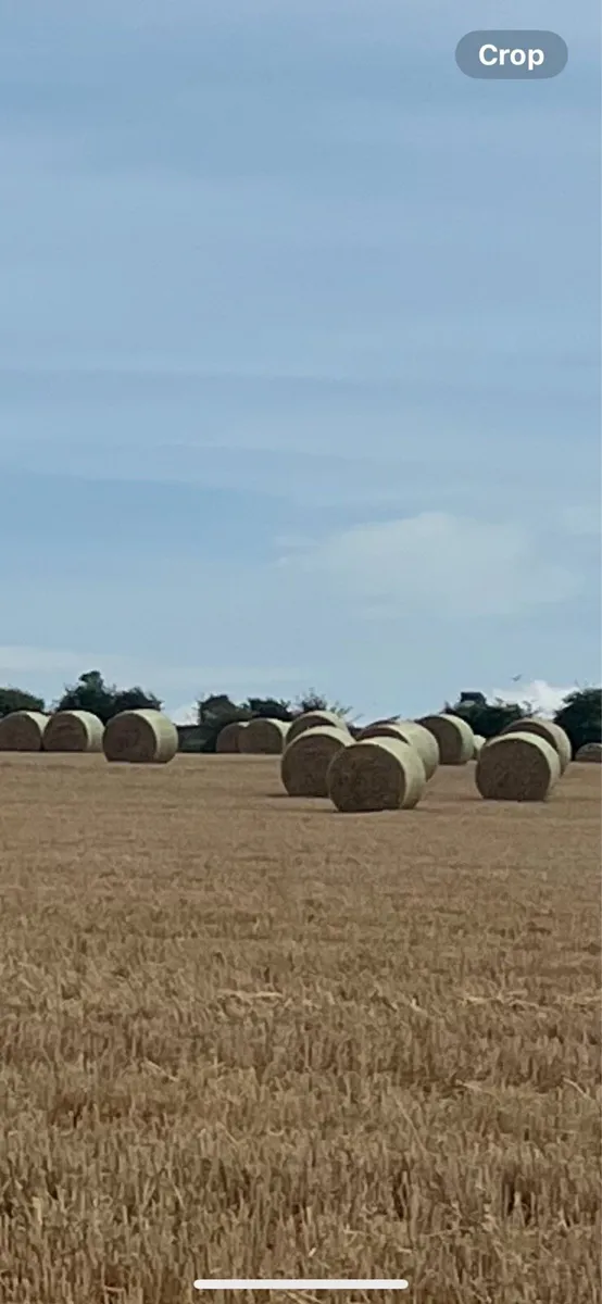 Straw - Image 2