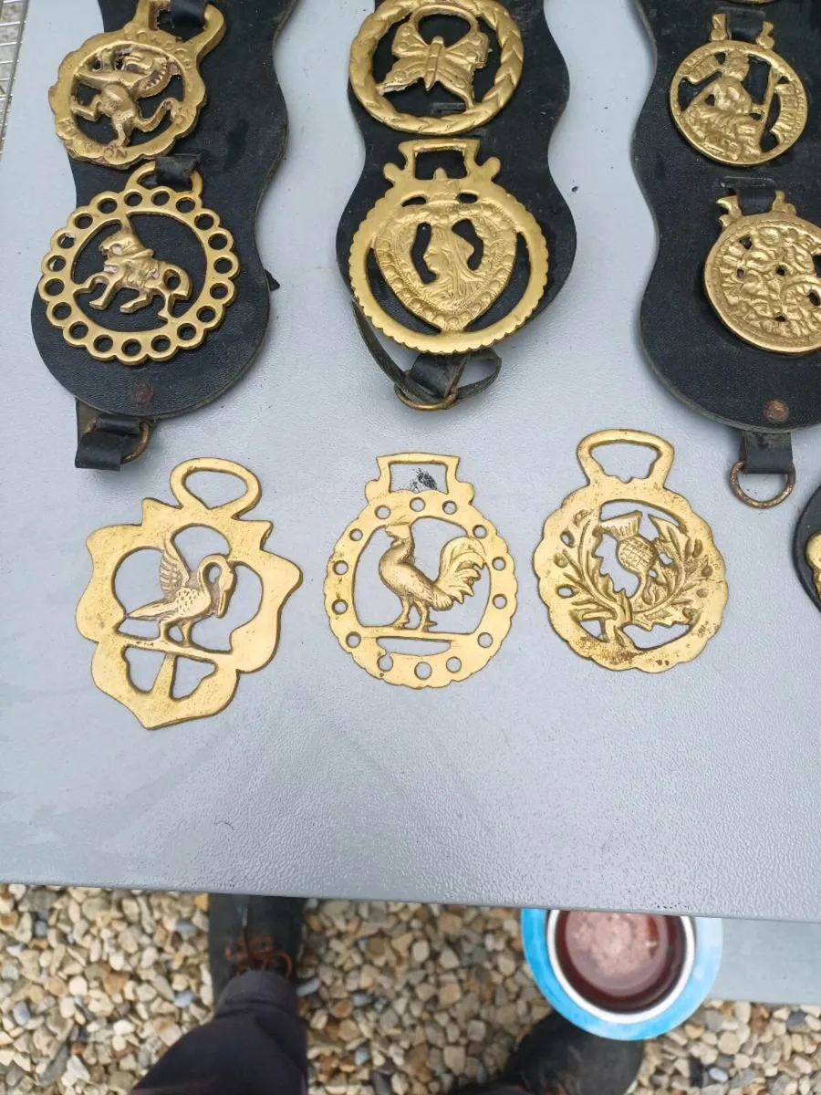 Collection of Antique Horse Brasses - Image 3