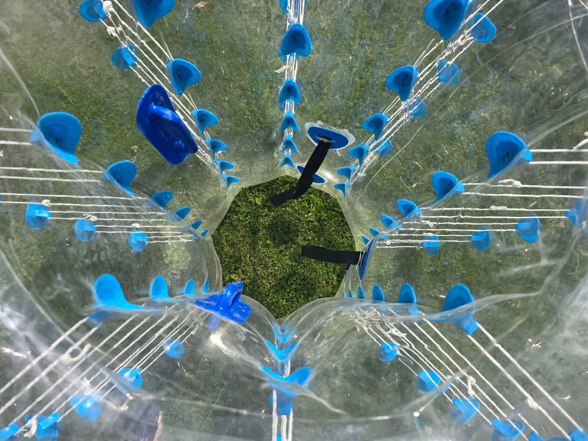 Human Hamster Ball (x2) - Image 4