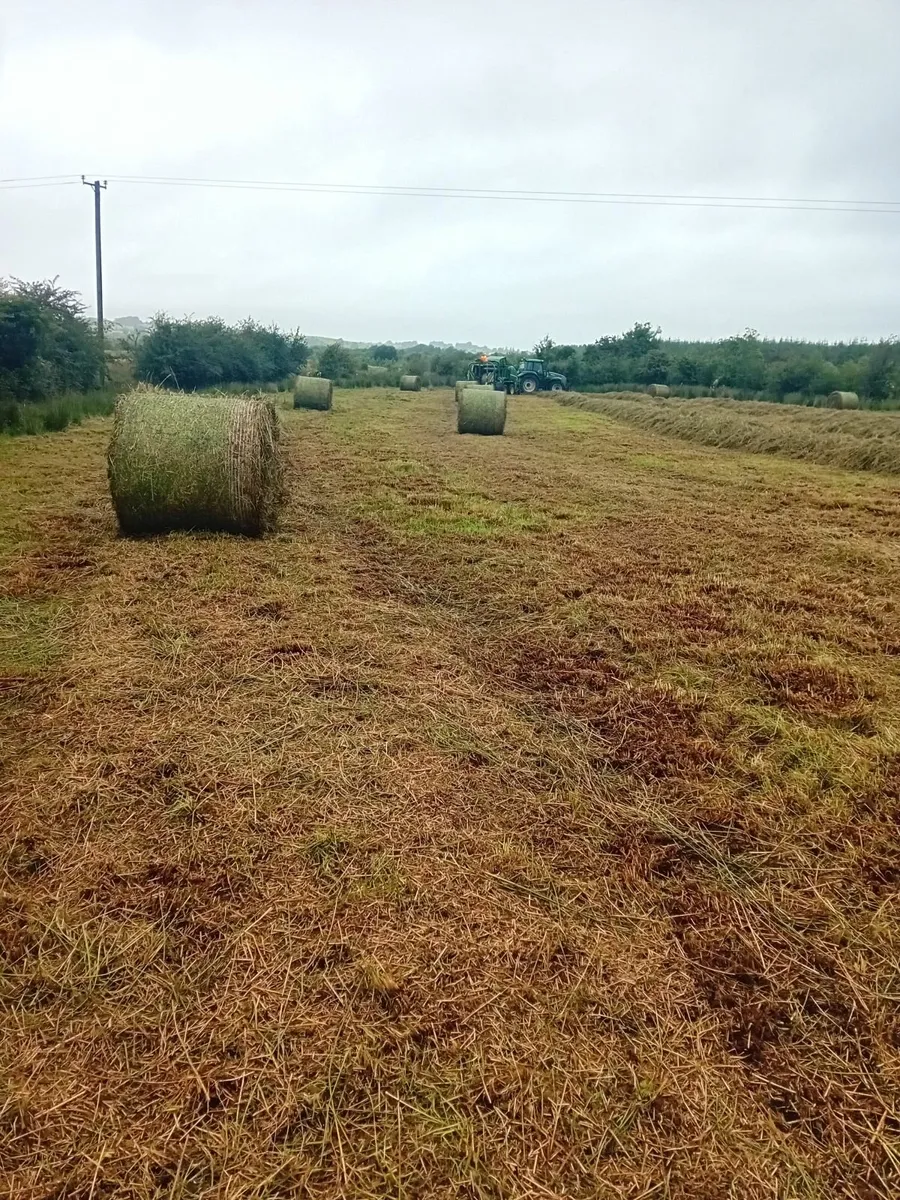 Rush bales - Image 2