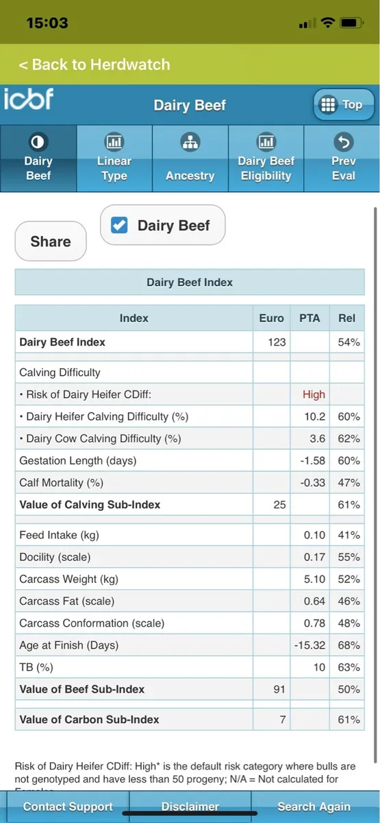 Pedigree Hereford bull - Image 4