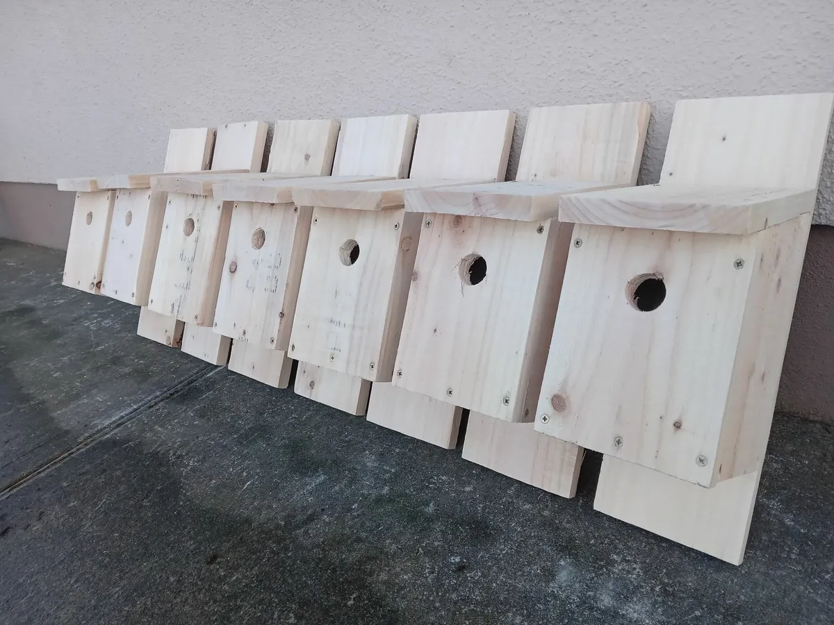 Glas Bird Boxes - Image 4