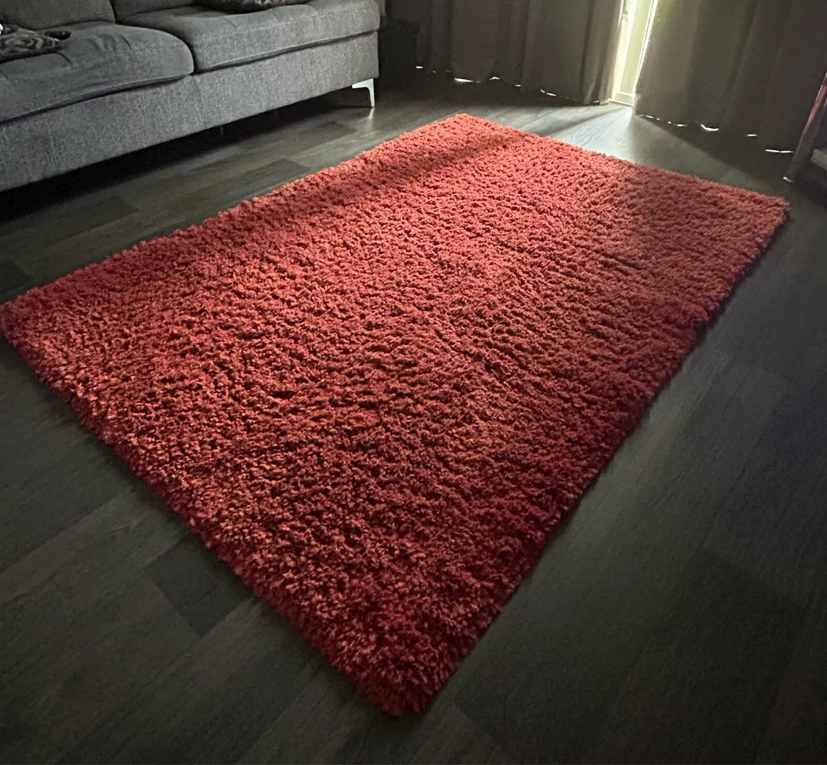 Living room rug - Image 1