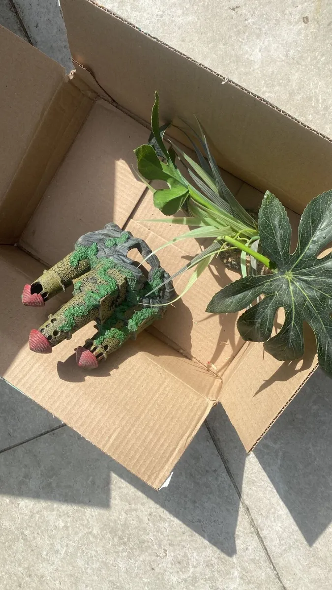 Second hand Vivarium for sale - Image 2