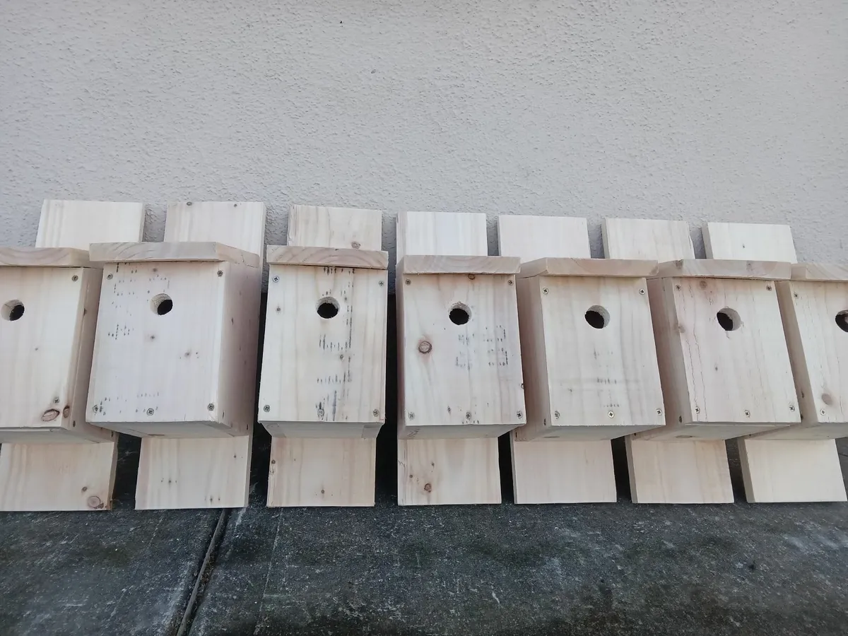 Sparrow & Tit Nesting Boxes - Image 1