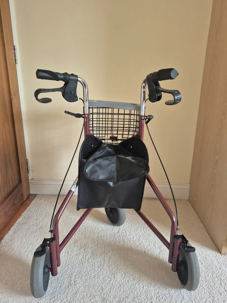 Walking Aid - Image 1