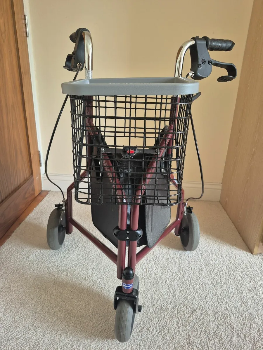 Walking Aid - Image 2