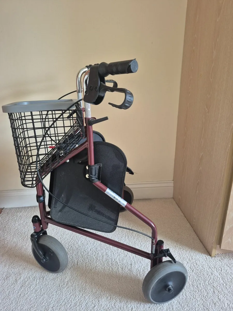 Walking Aid - Image 4