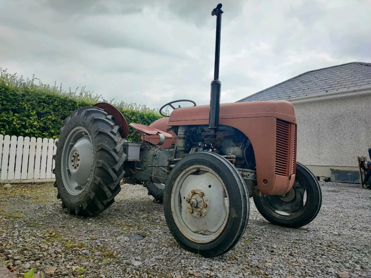Ferguson 20 Diesel TEF - Image 2