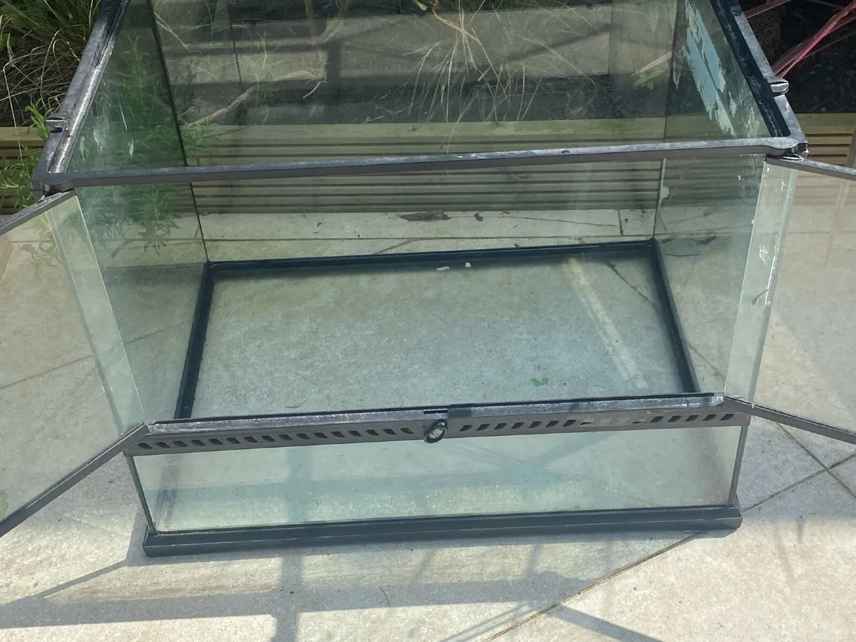 Second hand exo terra for sale - Image 2