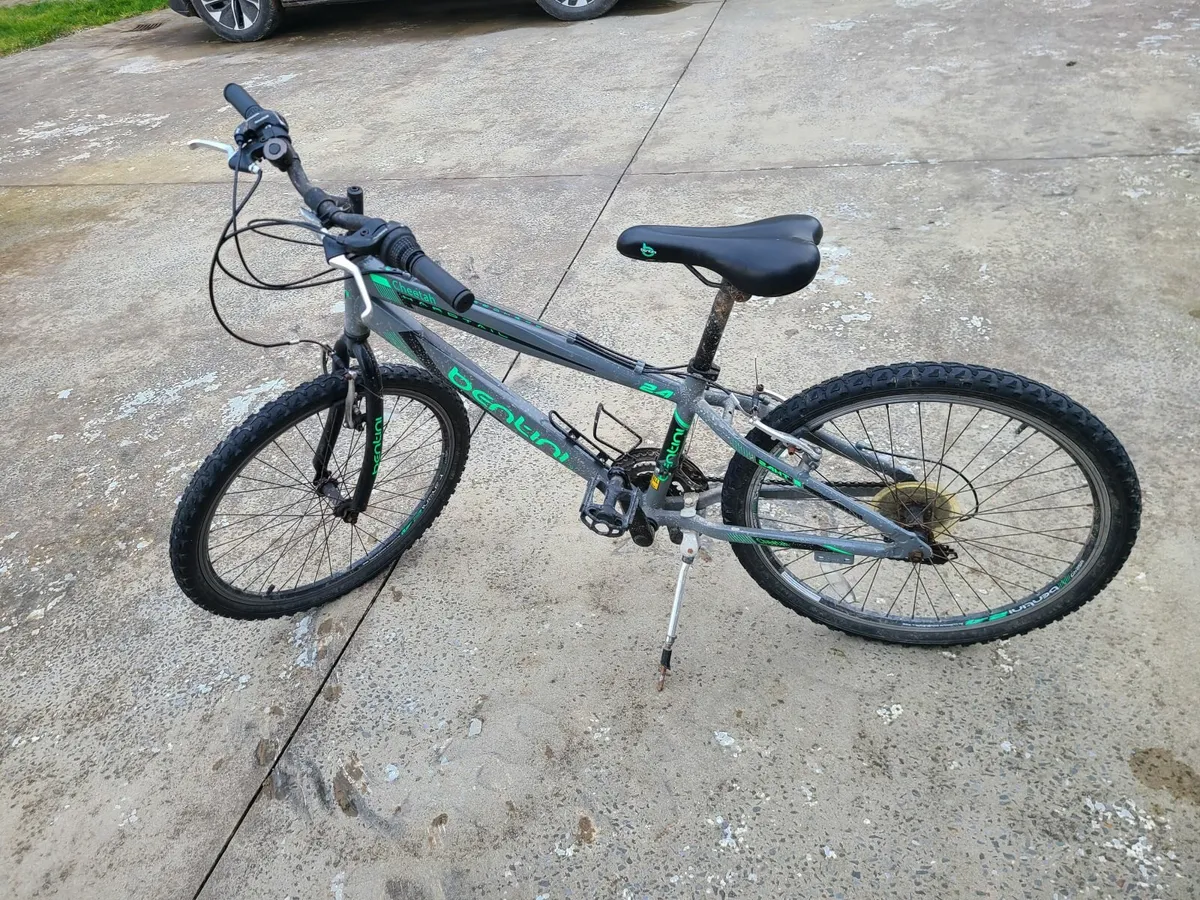Bike - Image 2