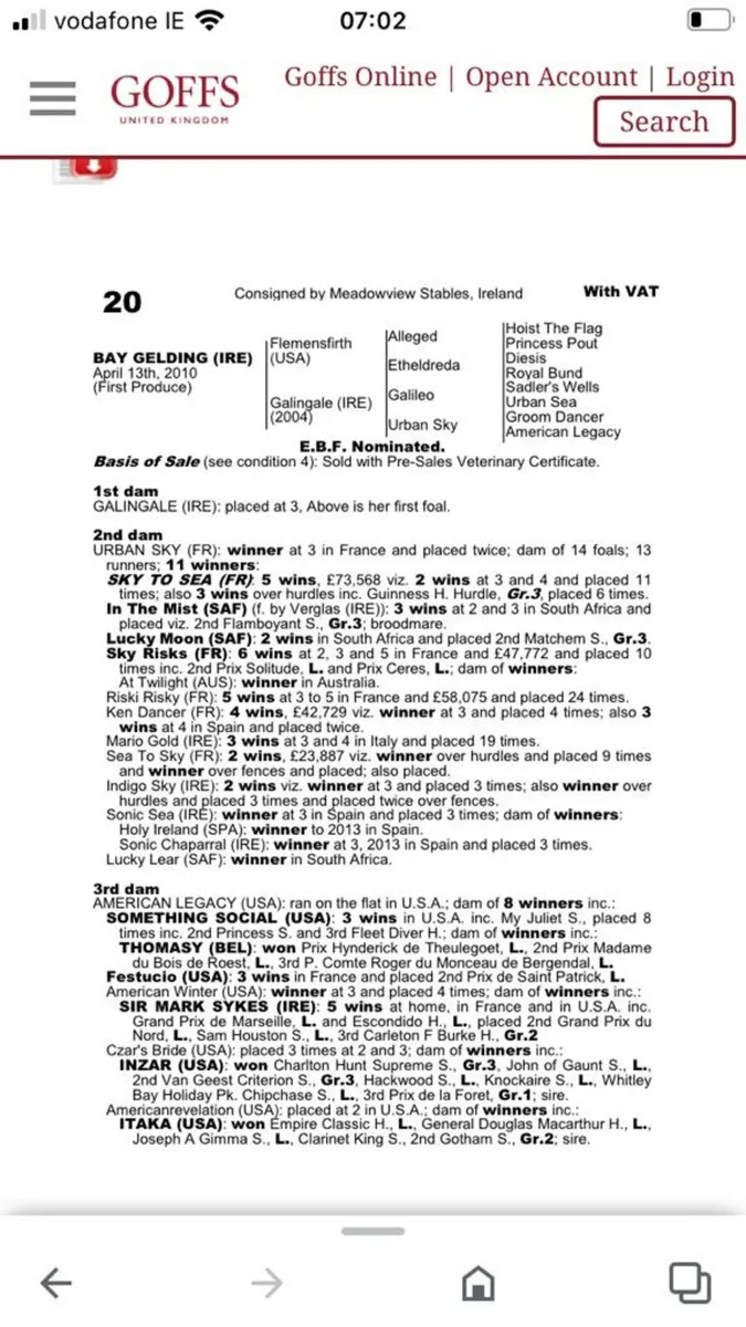 2 Filly's for sale - Image 4