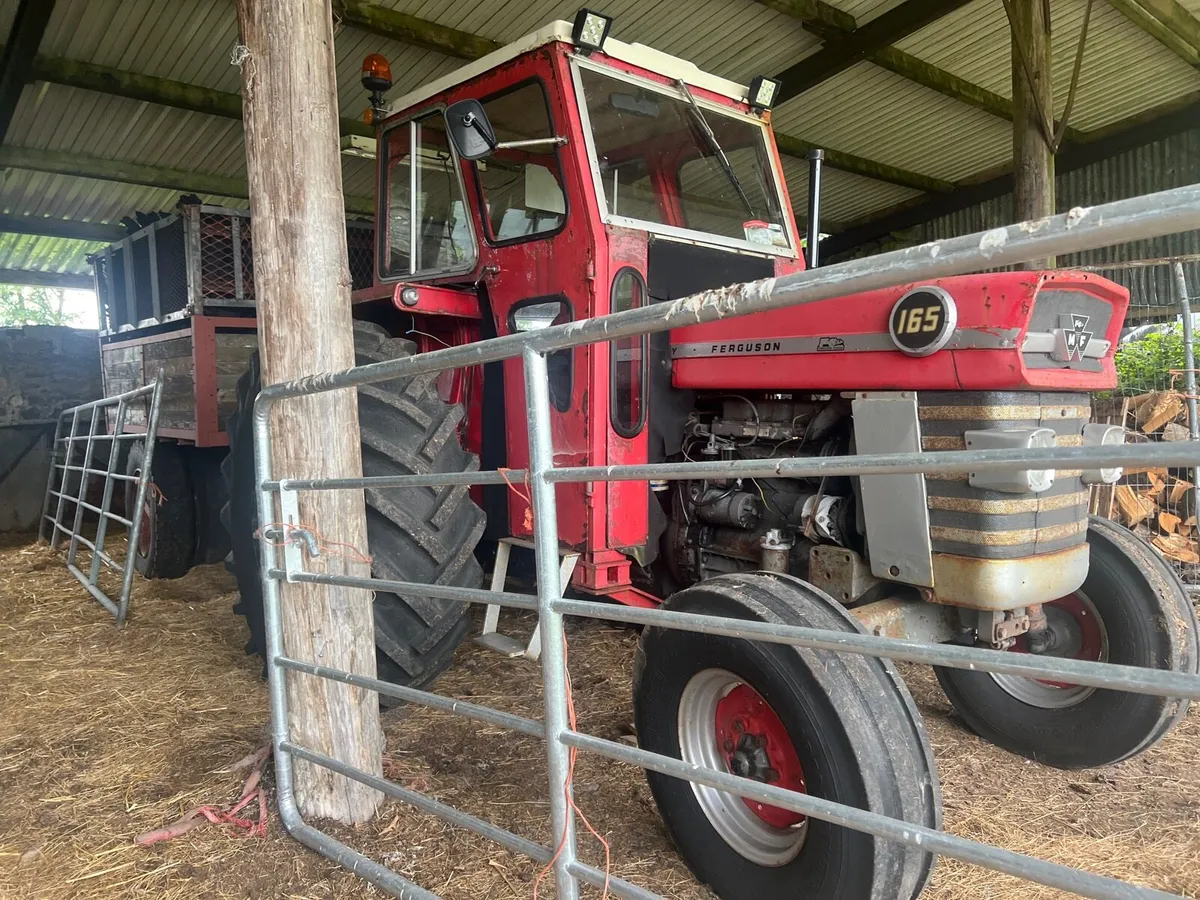 Massey Ferguson 165 and tipper trailer - Image 3