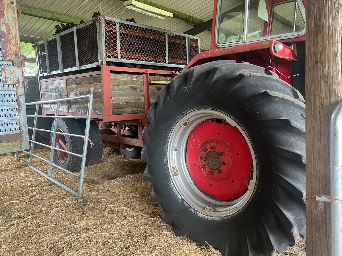Massey Ferguson 165 and tipper trailer - Image 4