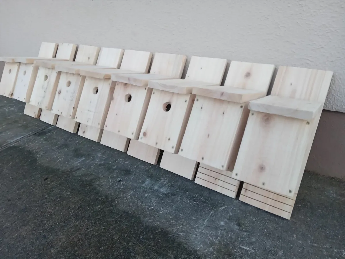 Bird Boxes - 💥Nationwide Delivery💥 - Image 2