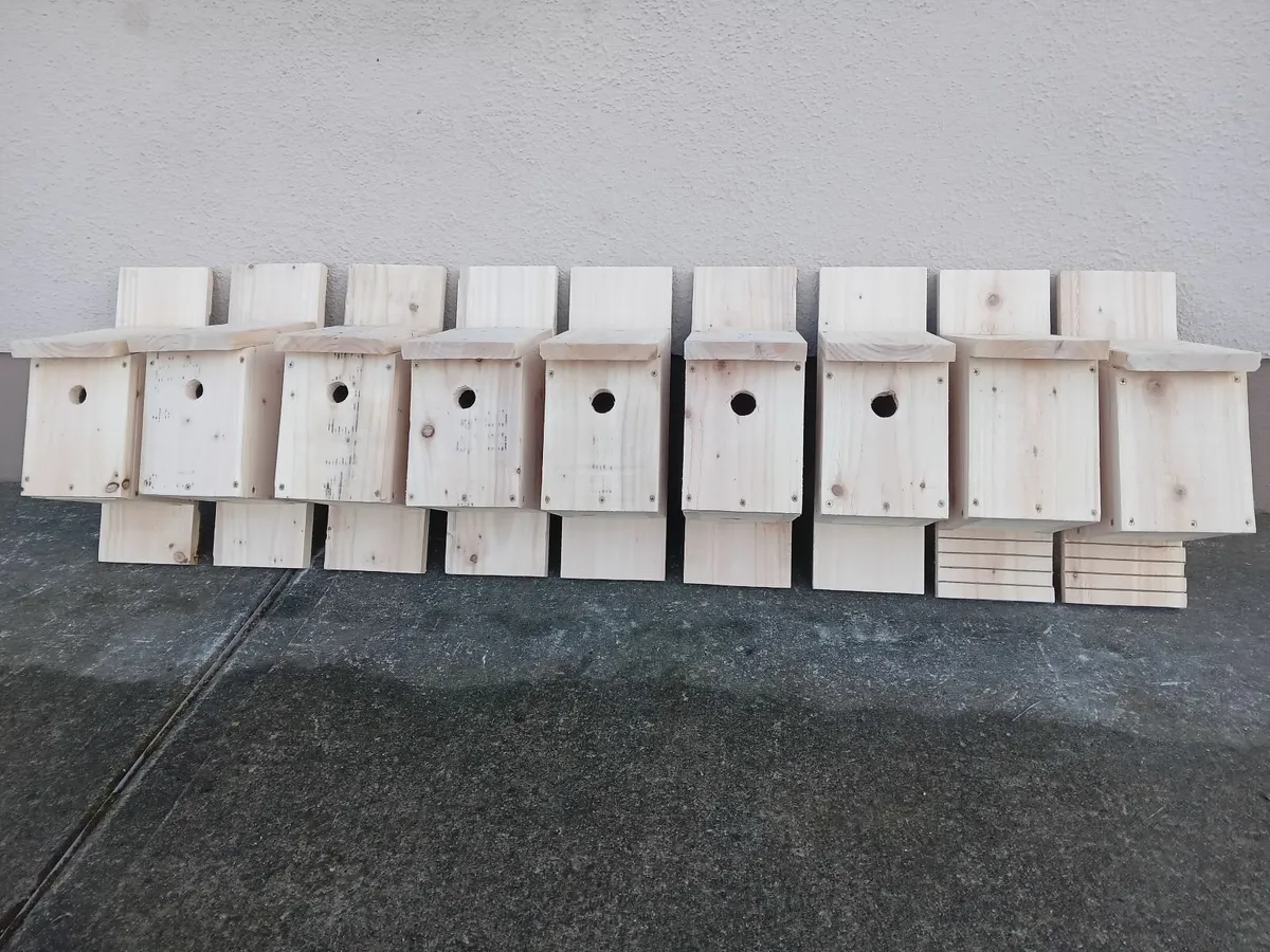 Bird Boxes - 💥Nationwide Delivery💥 - Image 4
