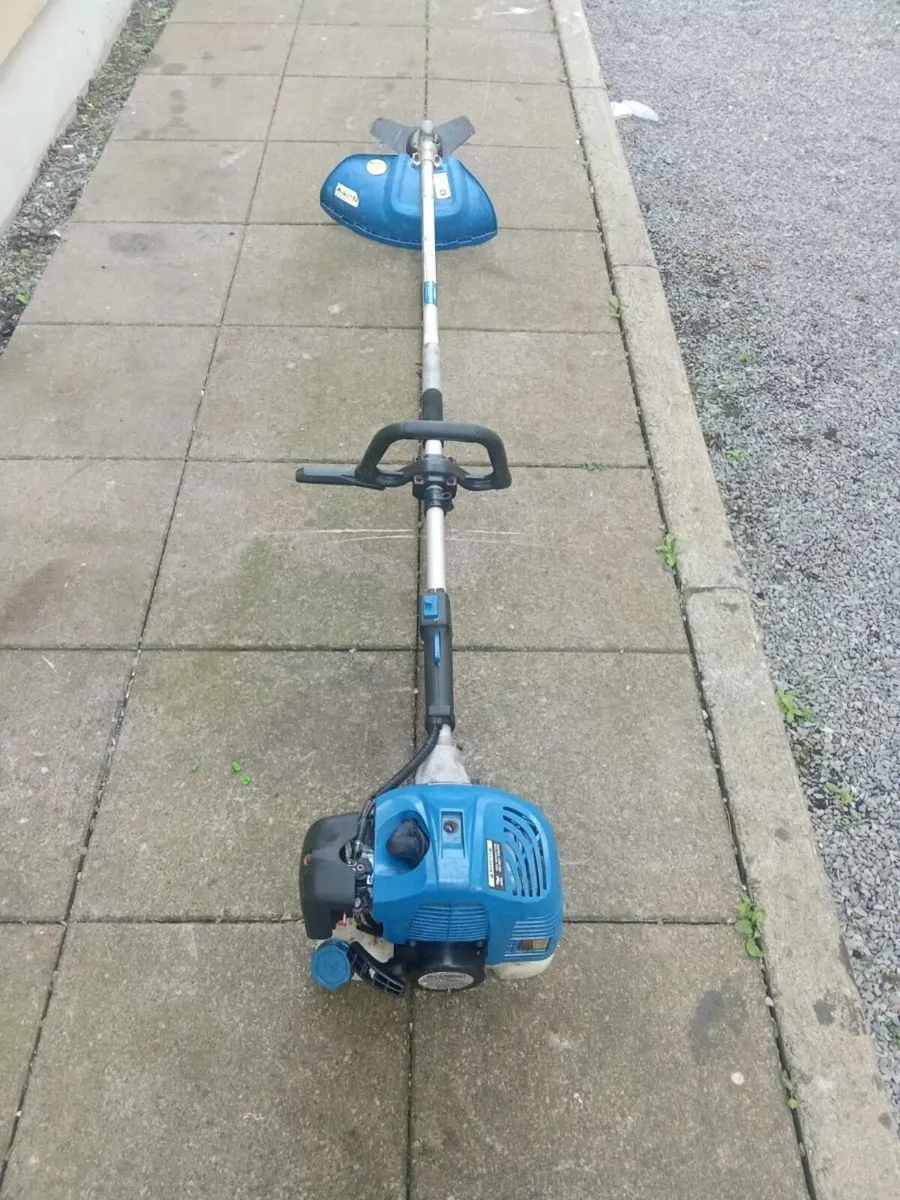 Strimmer - Image 1