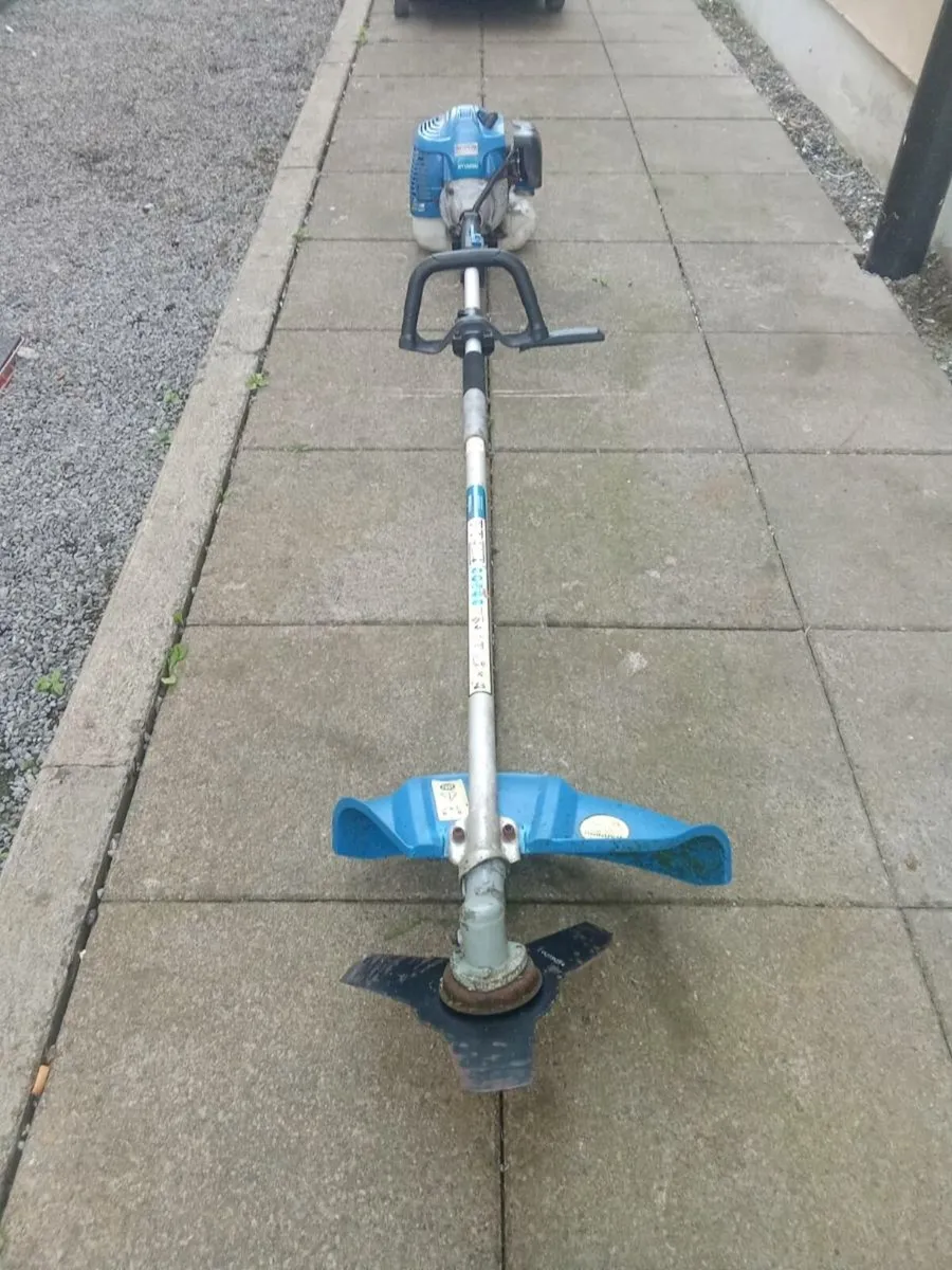 Strimmer - Image 2