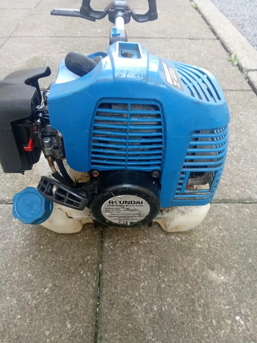 Strimmer - Image 3