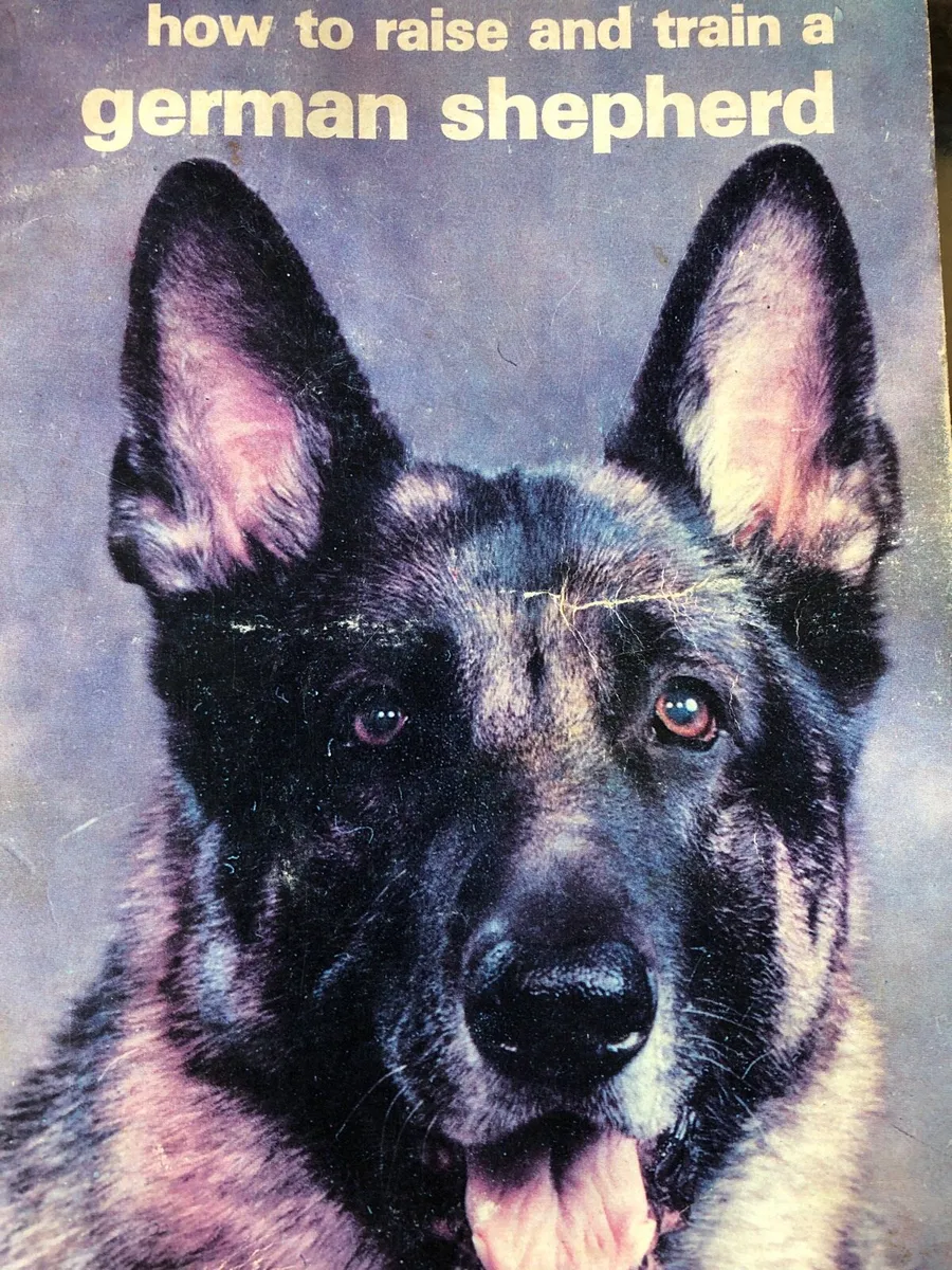How to train a German shepherd book - Image 1