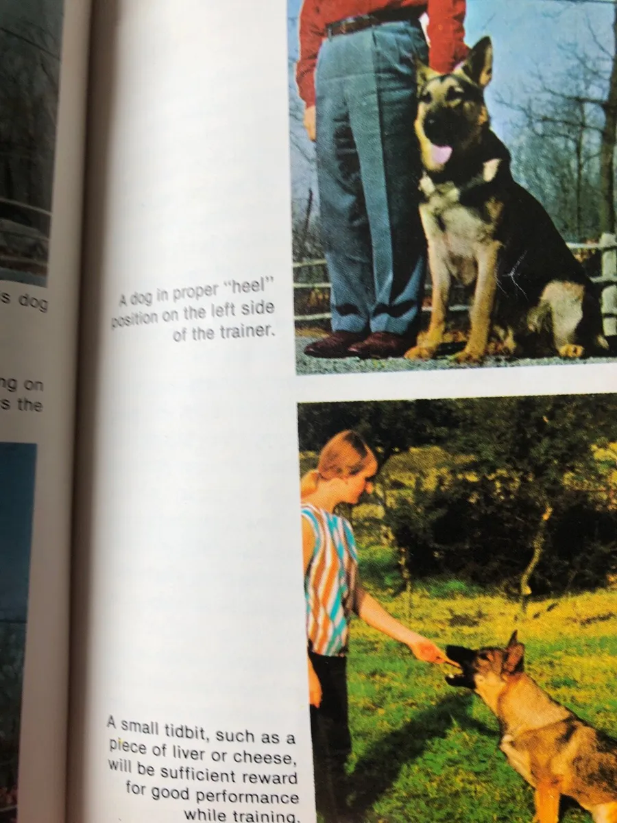 How to train a German shepherd book - Image 2