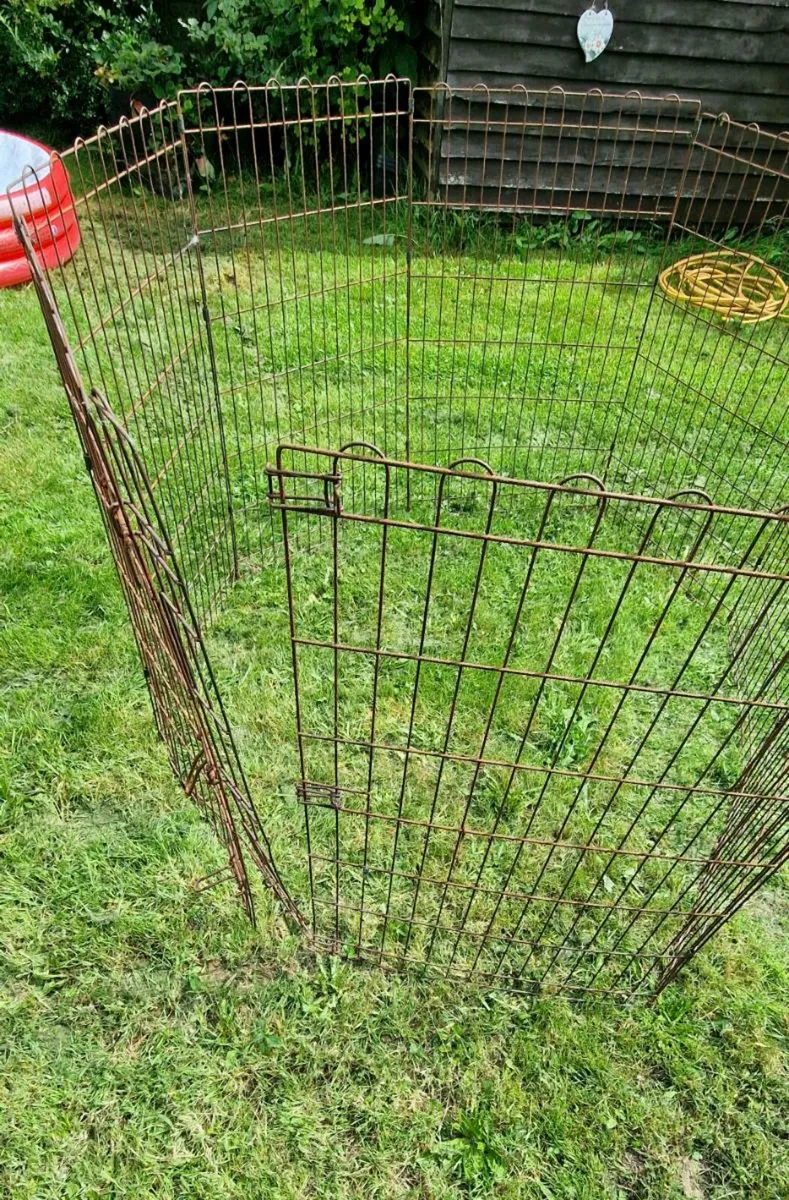 Iron Pet Gate - Image 3