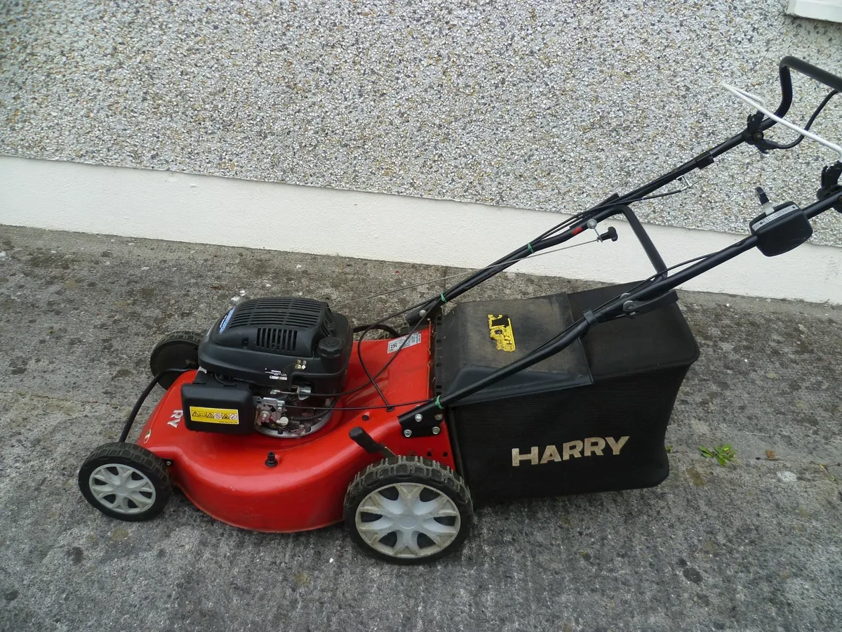 Harry Lawnmower - Image 1