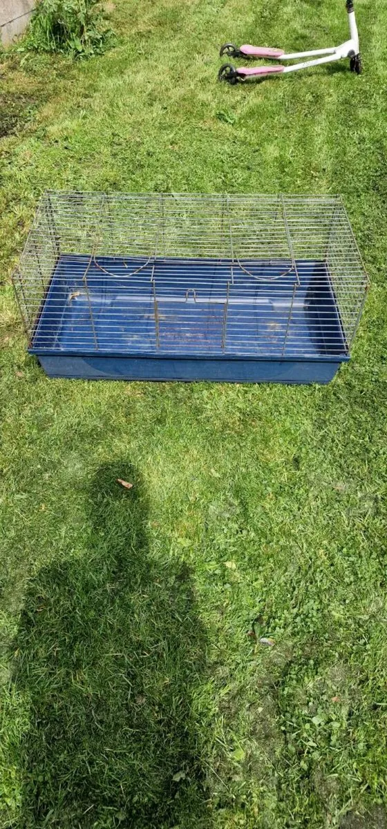 CAGE - Image 1