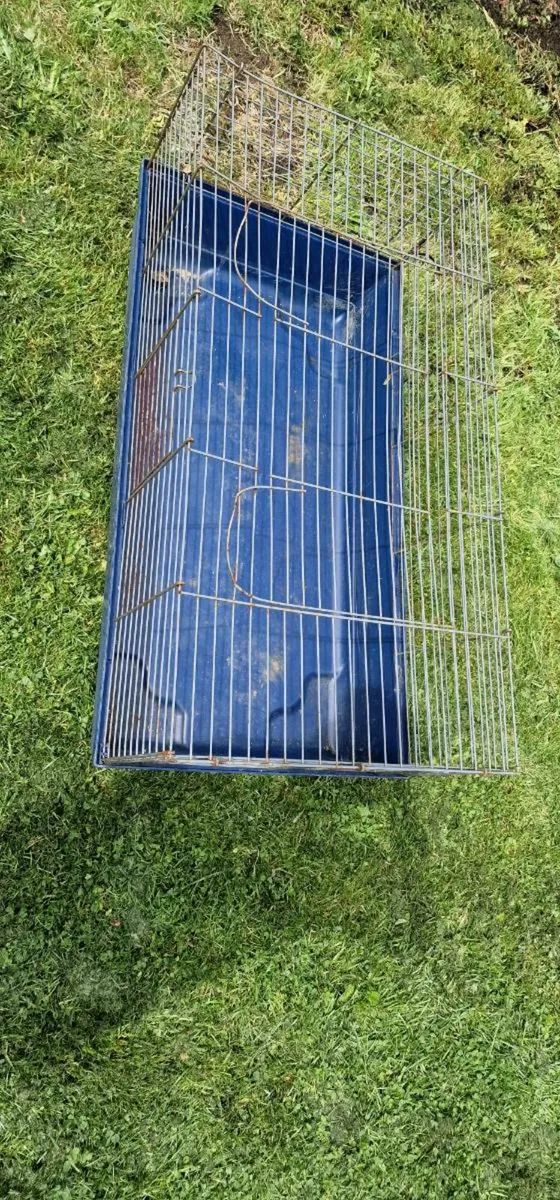 CAGE - Image 2
