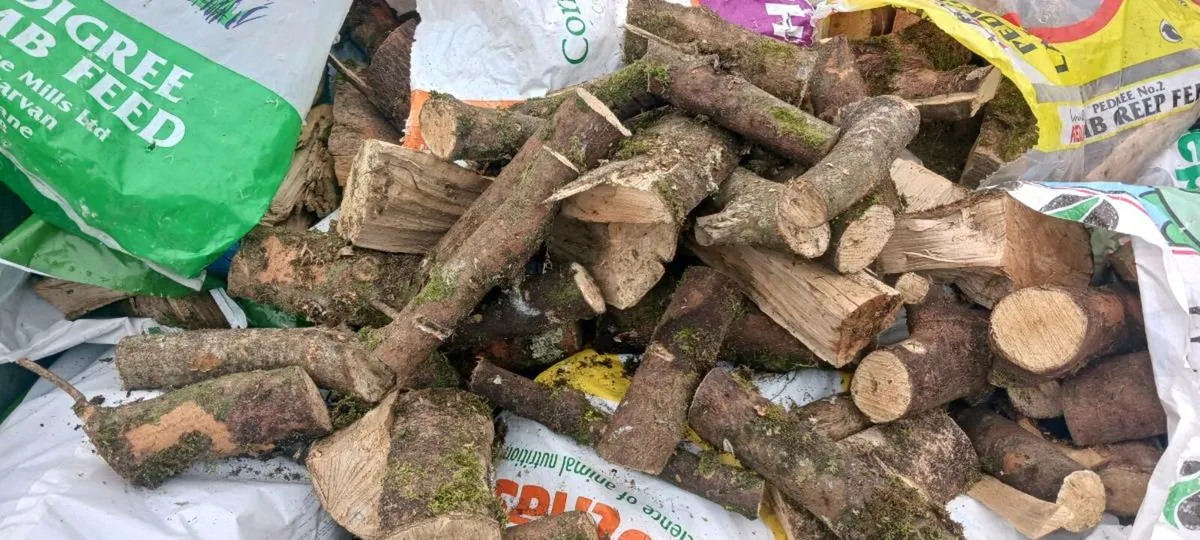 Firewood, seasoned hardwood - Image 1