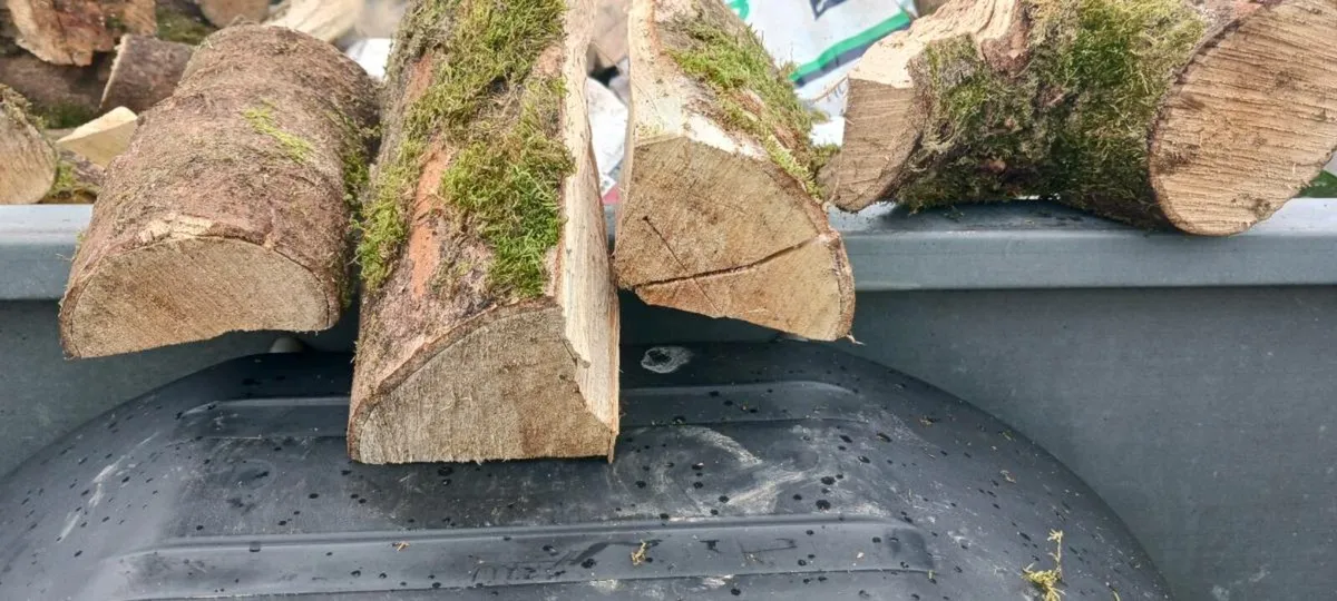 Firewood, seasoned hardwood - Image 4