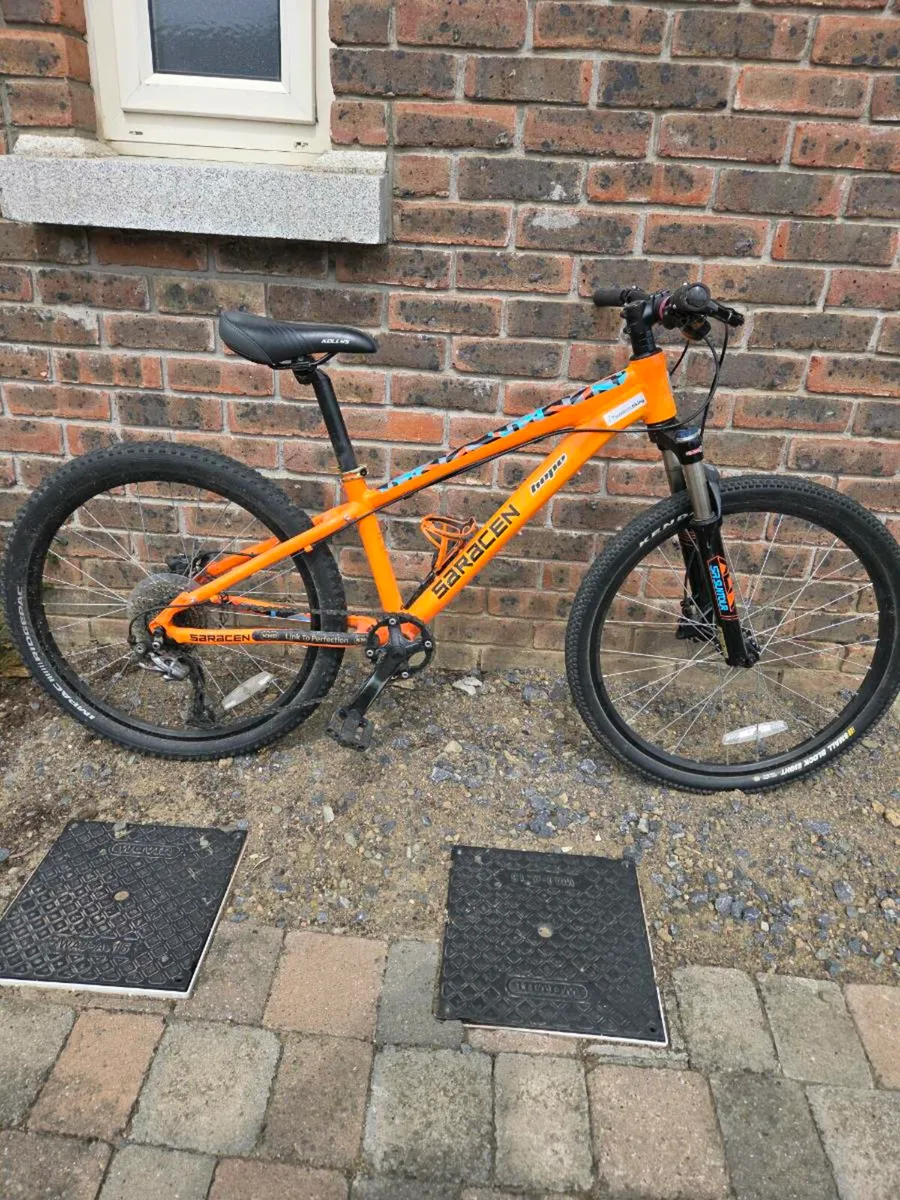 24inch Mountain Bike - Image 1