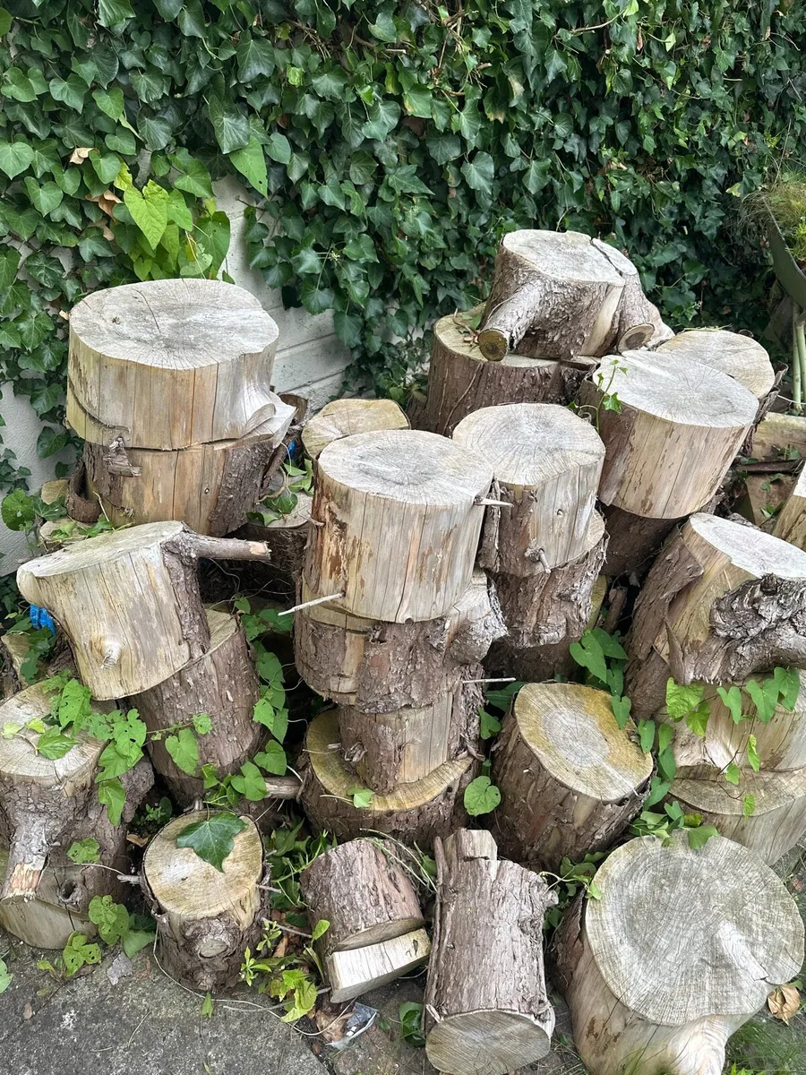 Wood logs