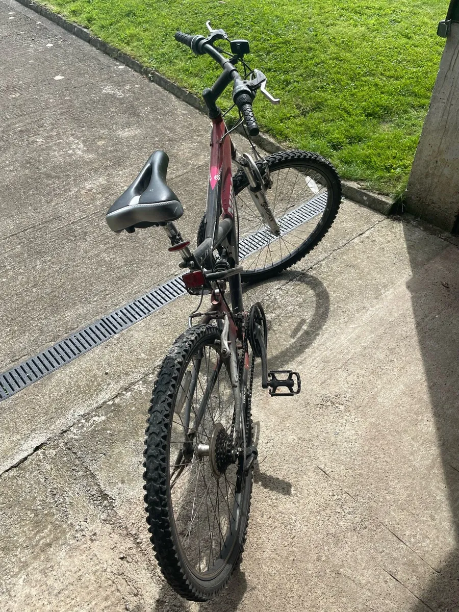 Eurotrek Teen Bike - Image 3