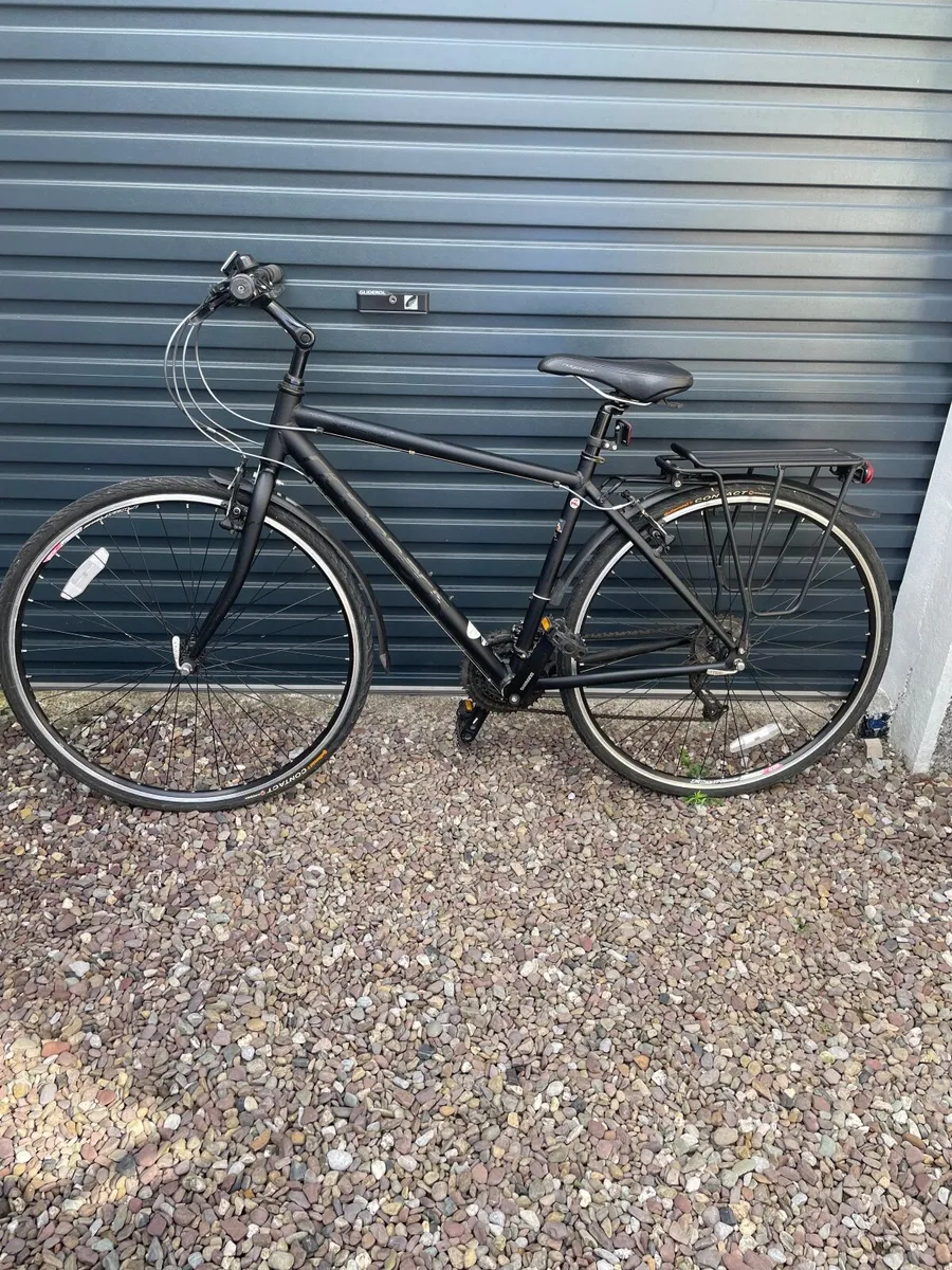 Ridgeback Rapide Velocity  Bike - Image 1