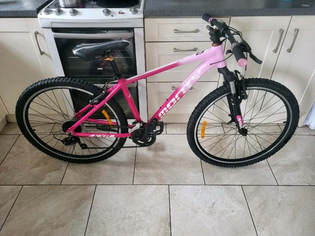 Bike - Image 1
