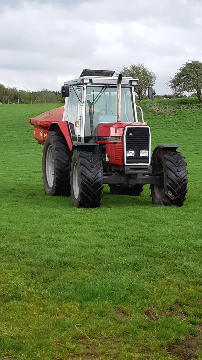 Massey ferguson - Image 3