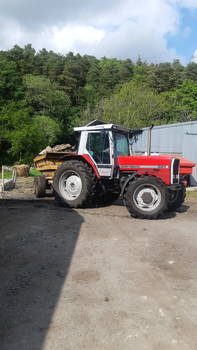 Massey ferguson - Image 4
