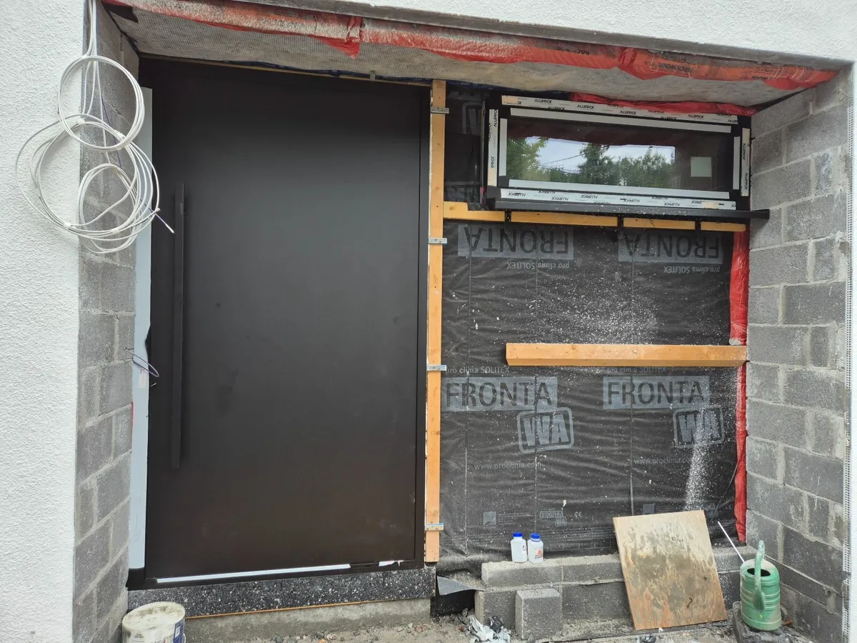Aluminium Pivot Door - Image 2