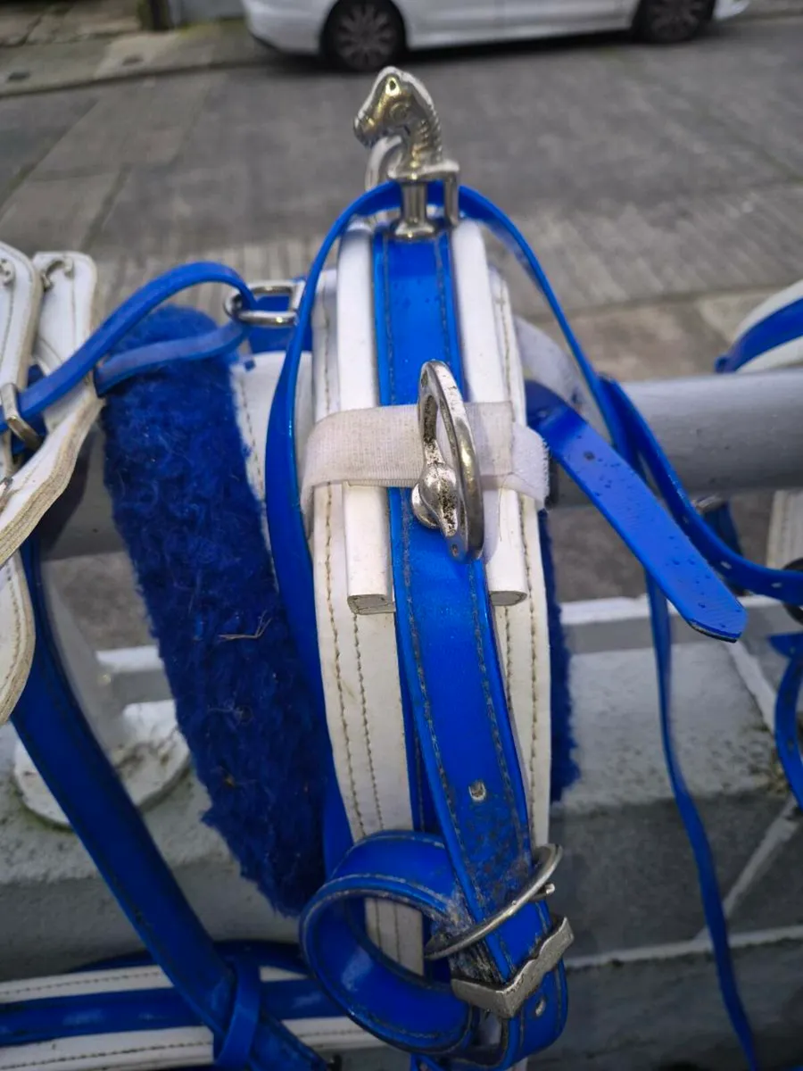 Rowcart and harness - Image 3