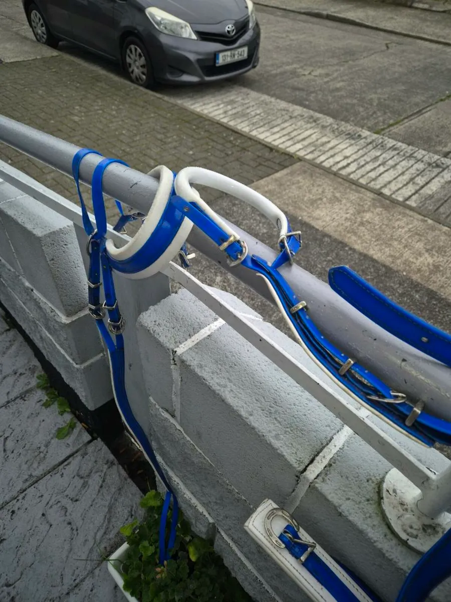 Rowcart and harness - Image 4