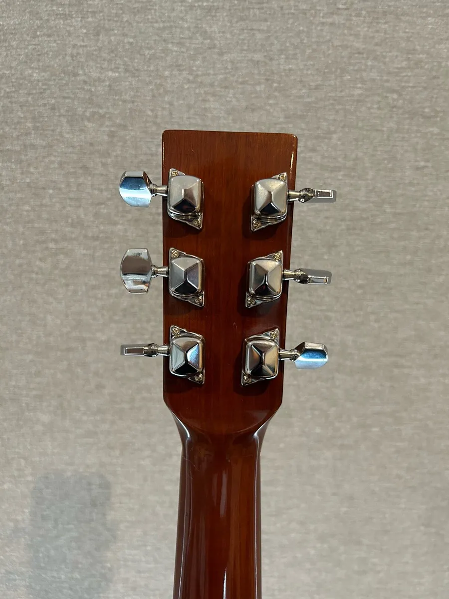 Acoustic Guitar - Encore EA 255 - Image 4