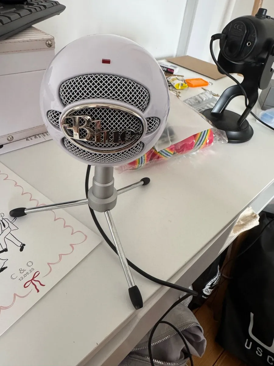 Microphone - Image 2
