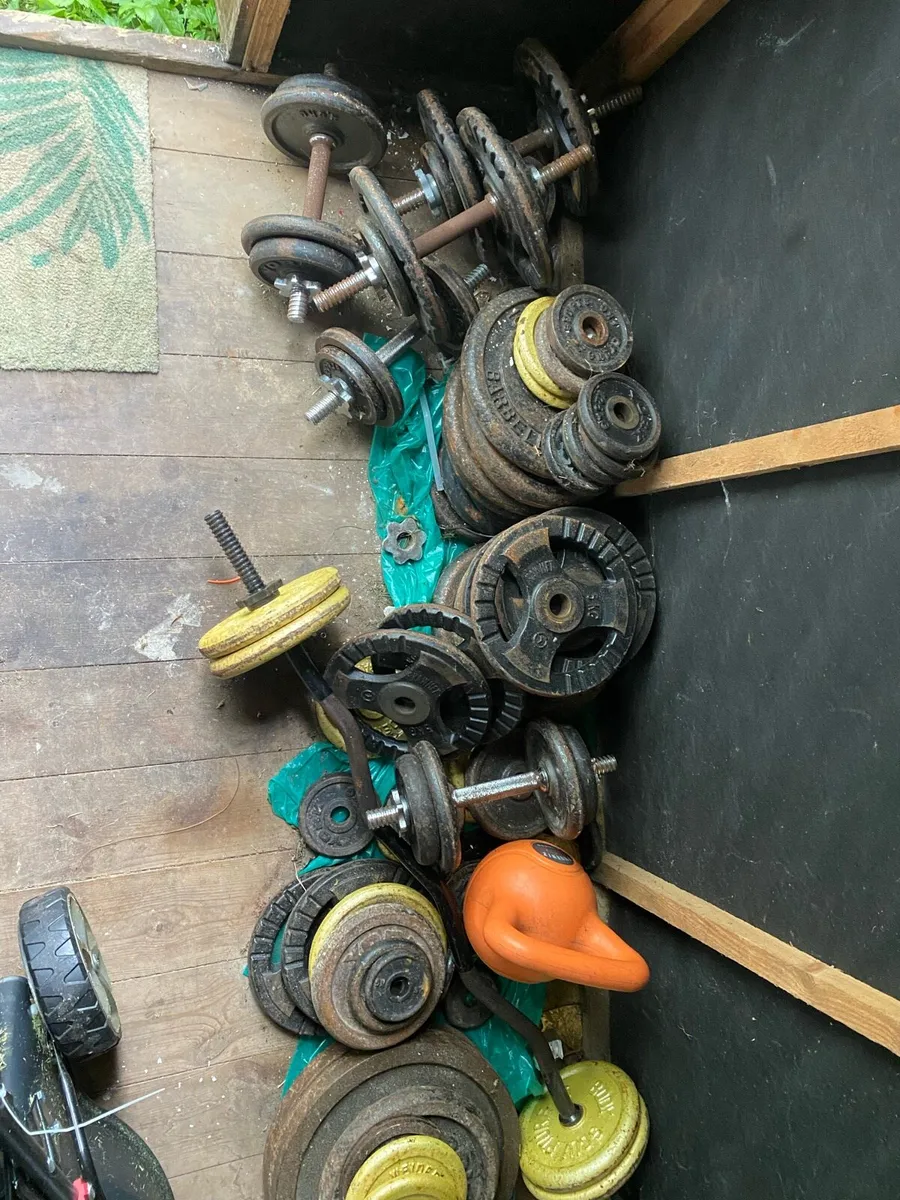 Cast Iron weights - Image 1