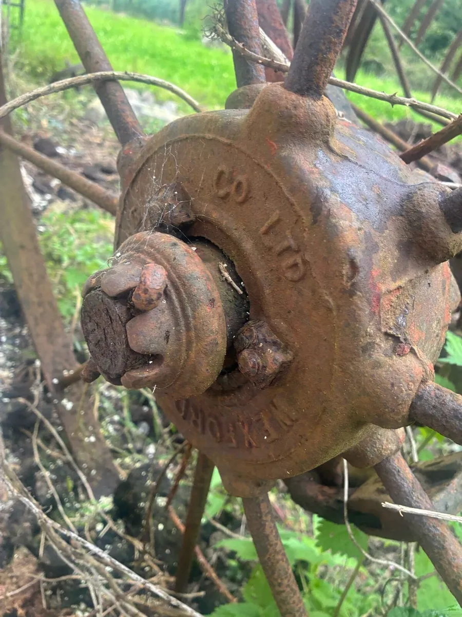 horse rake - Image 2