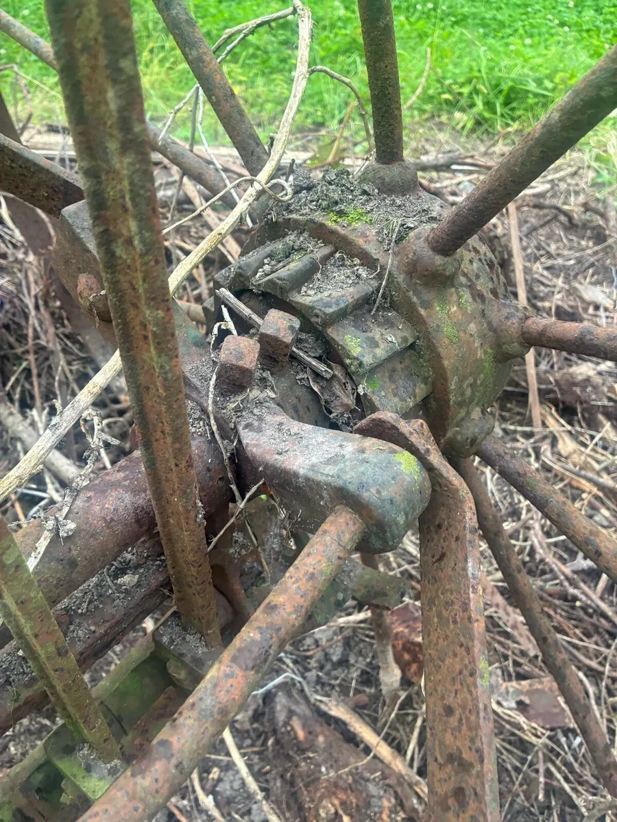 horse rake - Image 4