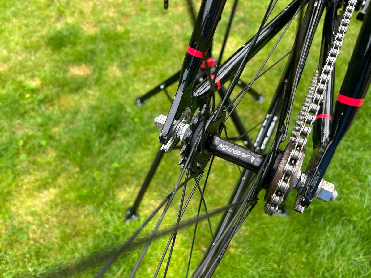 Single speed Colossi bike - Image 2