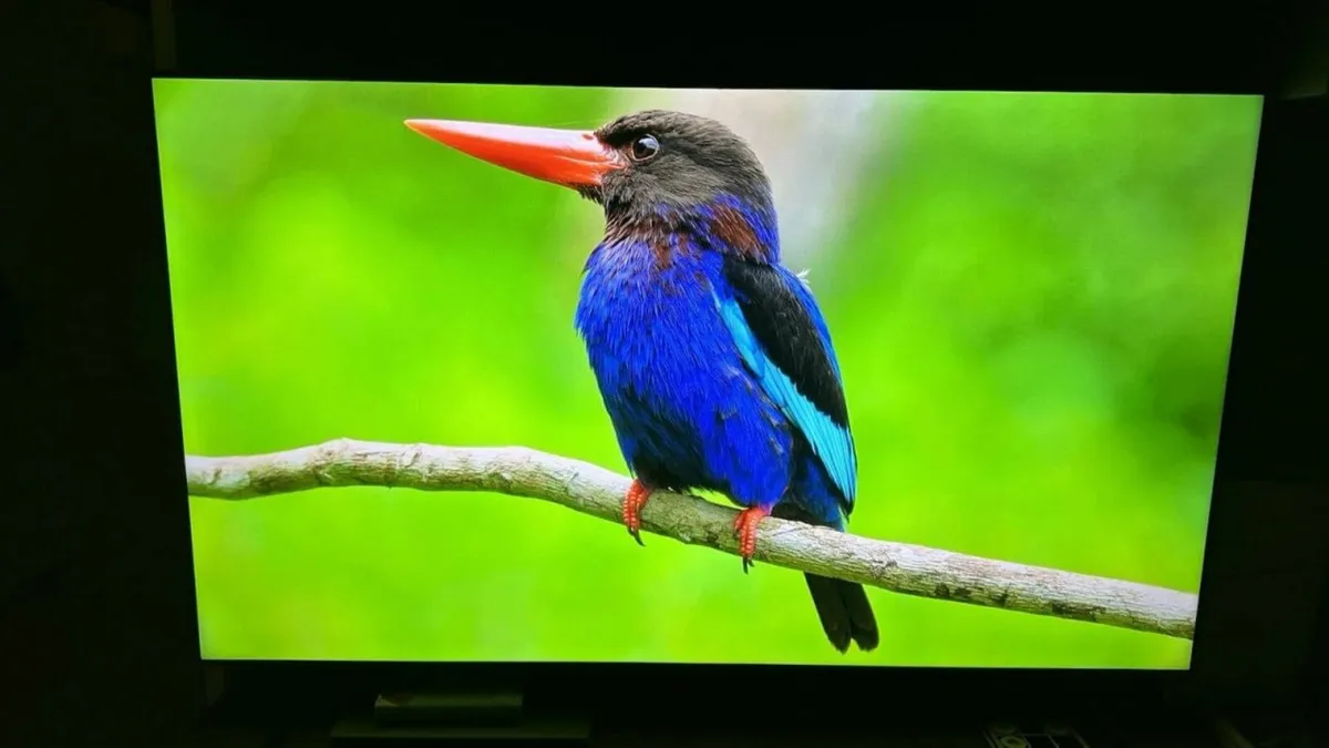 SAMSUNG  65" LED 4K UHD Smart TV - Image 2