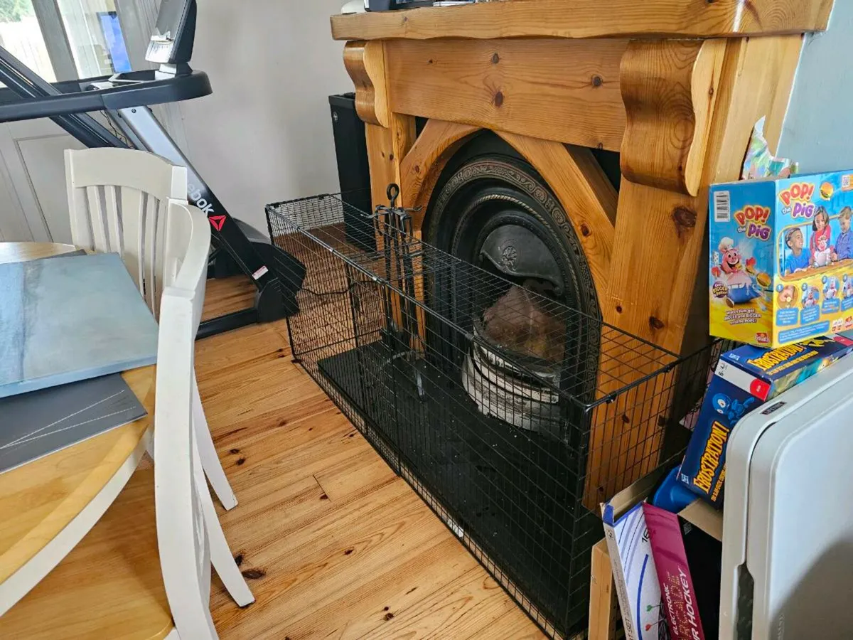 Fire guard - Image 2