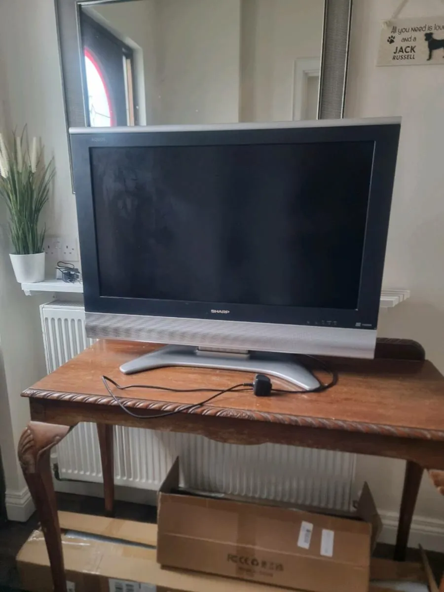 Television